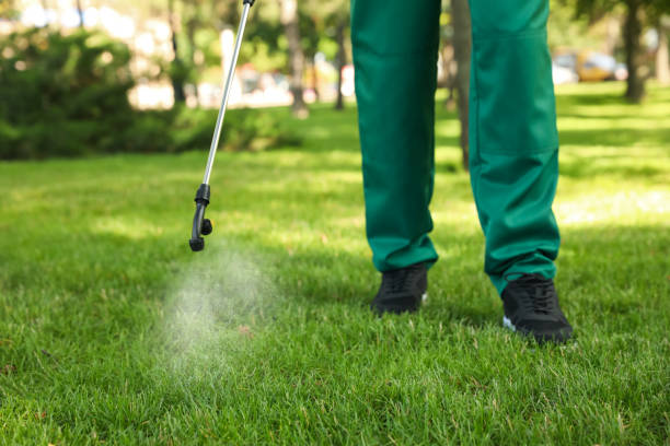 Best Mosquito Control Services  in Norwich, NY