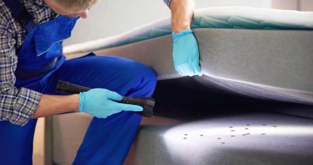 Best Pest Prevention Services  in Norwich, NY