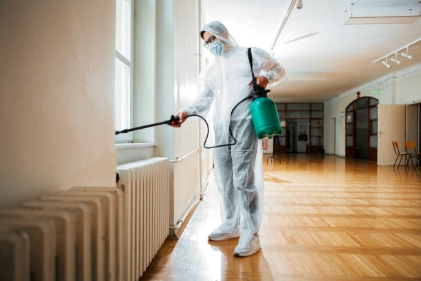 Flea Control Services in Norwich, NY