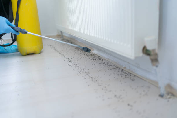 Best Best Pest Control Companies  in Norwich, NY
