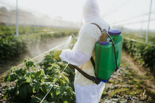 Best Pest Control Near Me  in Norwich, NY